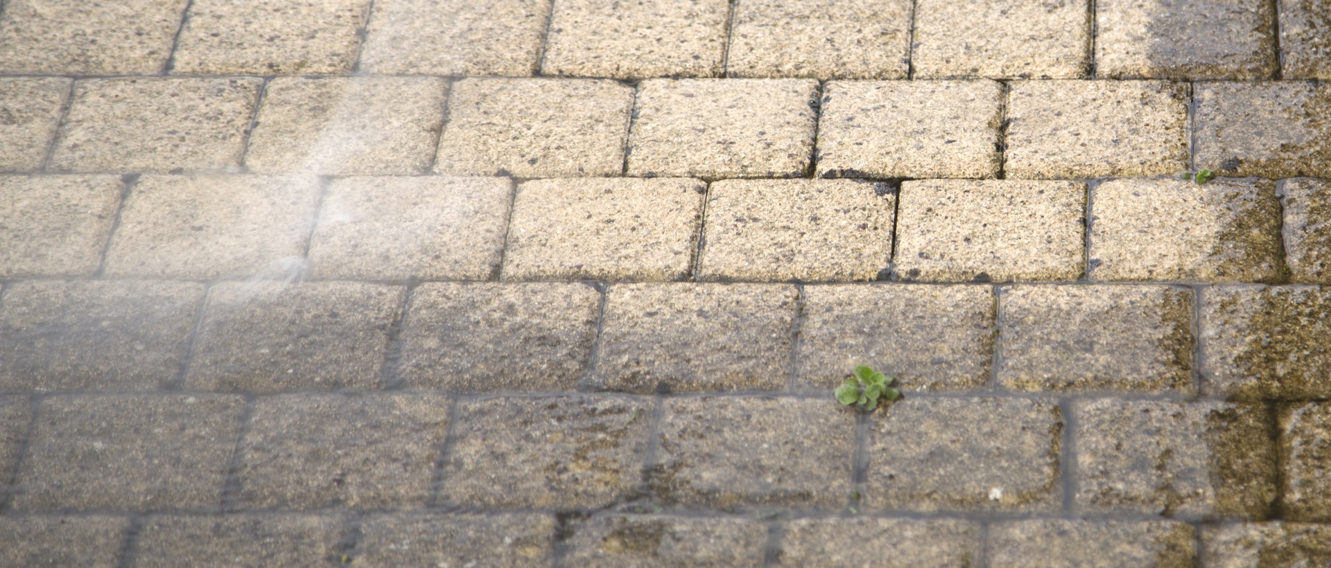 flagging and patios DA6