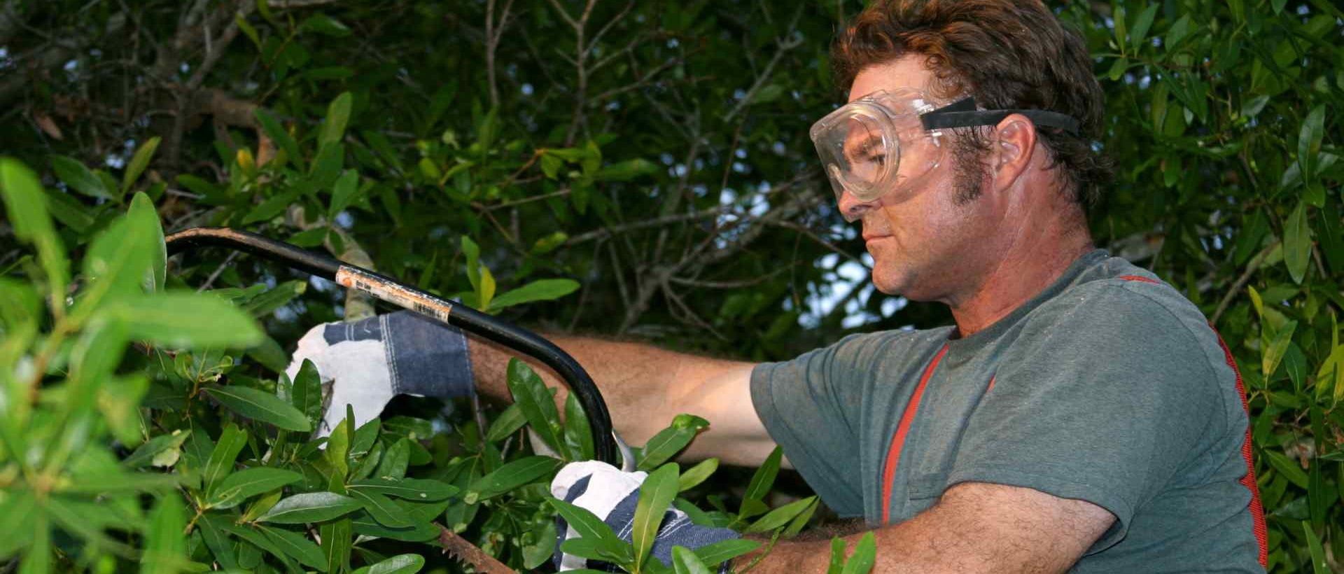 garden clearance DA6